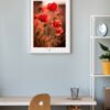 Plakat TheLightFul Maki-Fine Art Fotografia - Joanna Musiał-Janicka, musialjanicka.art (21) Niech kolor przemówi głośniej niż słowa. Odważny, ale uspokajający, "TheLightFul Poppies" staje się centralnym punktem każdej nowoczesnej, loftowej lub kobiecej przestrzeni.