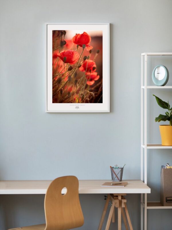 Plakat TheLightFul Maki-Fine Art Fotografia - Joanna Musiał-Janicka, musialjanicka.art (21) Niech kolor przemówi głośniej niż słowa. Odważny, ale uspokajający, "TheLightFul Poppies" staje się centralnym punktem każdej nowoczesnej, loftowej lub kobiecej przestrzeni.