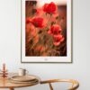 Plakat TheLightFul Maki-Fine Art Fotografia - Joanna Musiał-Janicka, musialjanicka.art (22) Czerwone maki w pełnym świetle - uchwycone w spokojnym, uduchowionym momencie. Dla tych, którzy postrzegają sztukę jako sposób na ponowne połączenie się z pięknem.