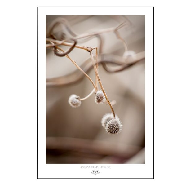 Slow living art print with organic forms and gentle composition, inspired by nature’s stillness.