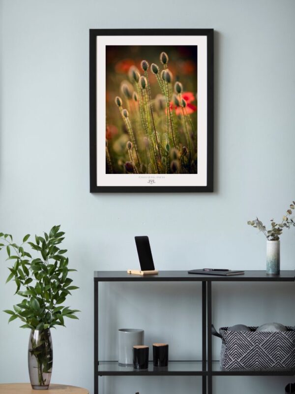 Nature-inspired wall art featuring poppy buds with subtle colors and calm atmosphere.