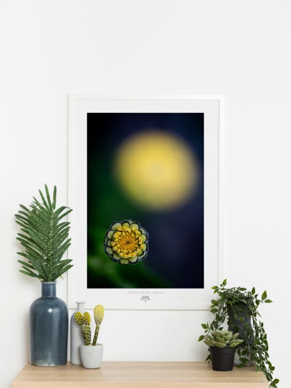 Slow living art poster inspired by nature’s stillness – luxury mindful wall art print
