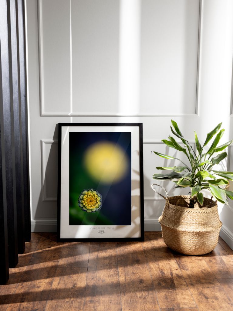 Plakat z fotografią artystyczną celebrujący uważność i piękno pauzy - limitowana edycja kolekcjonerska