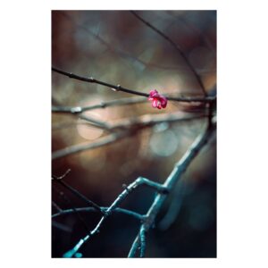 Mindfulness in Pink - Joanna Musiał-Janicka musialjanicka.art Mindfulniess in Pink - Joanna Musiał-Janicka