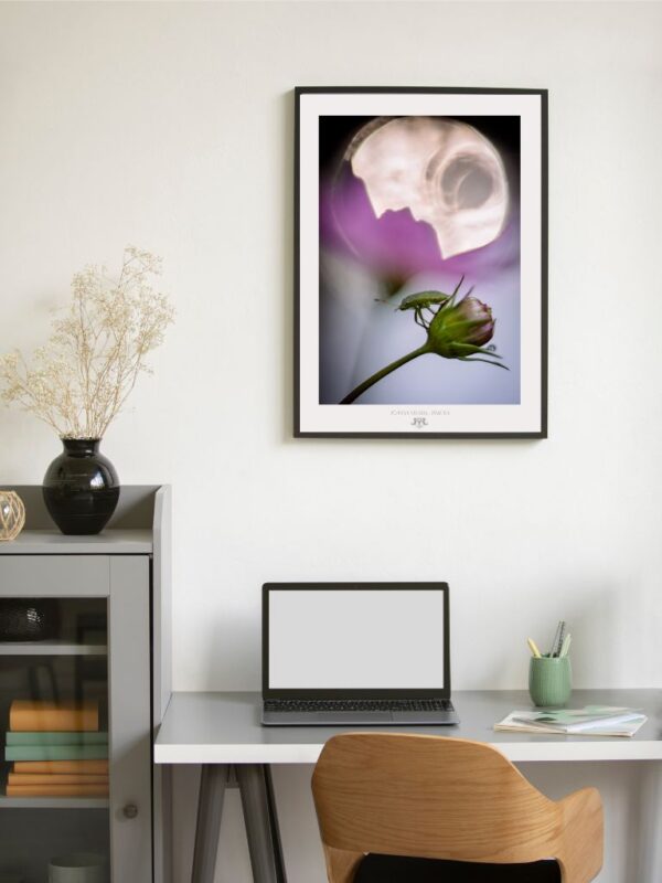 Obfitość chwili - Fine Art Photography - Joanna Musiał-Janicka, musialjanicka.art (4) “Abundance of a Moment” - artystyczny plakat o spokojnym, opanowanym charakterze, celebrujący obecność, uważność i powolne życie.