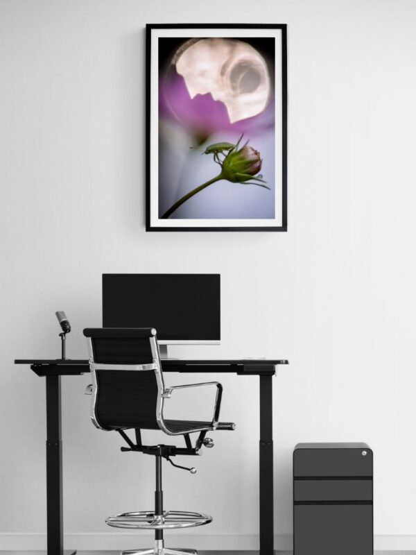 A small green beetle rests on a fuchsia flower bud, framed by a gentle, glowing orb of light in the blurred background.