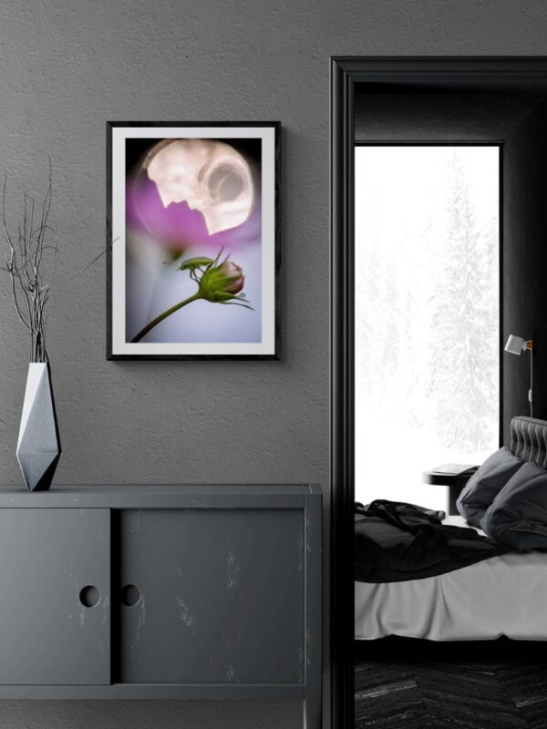 A beetle in rich green tones stands on a fuchsia flower bud, with a bright, round light halo behind it.