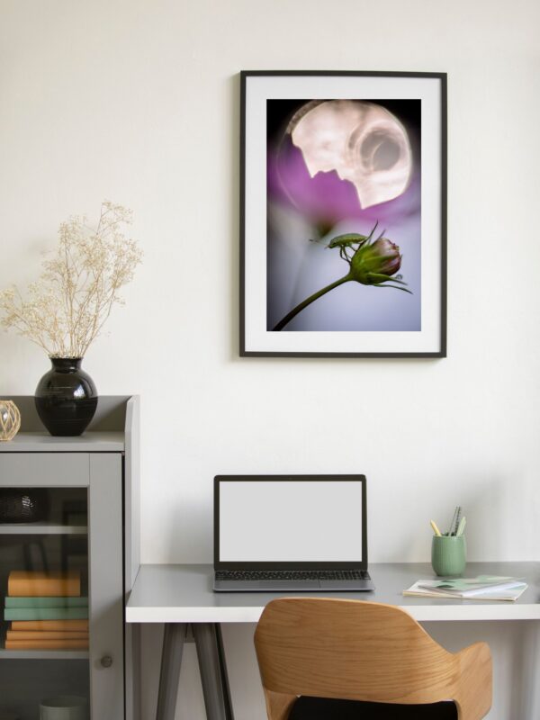 Żywe zbliżenie małego zielonego chrząszcza stojącego na czubku okrągłego pąka kwiatowego. Chrząszcz jest oświetlony miękkim naturalnym światłem, a jego metalicznie zielone ciało kontrastuje z głębokim fuksjowym tłem. Za nim pojawia się delikatny, okrągły strumień światła, tworząc senną poświatę. Kompozycja sprawia wrażenie spokojnej i uważnej, jakby owad oferował chwilę przerwy.