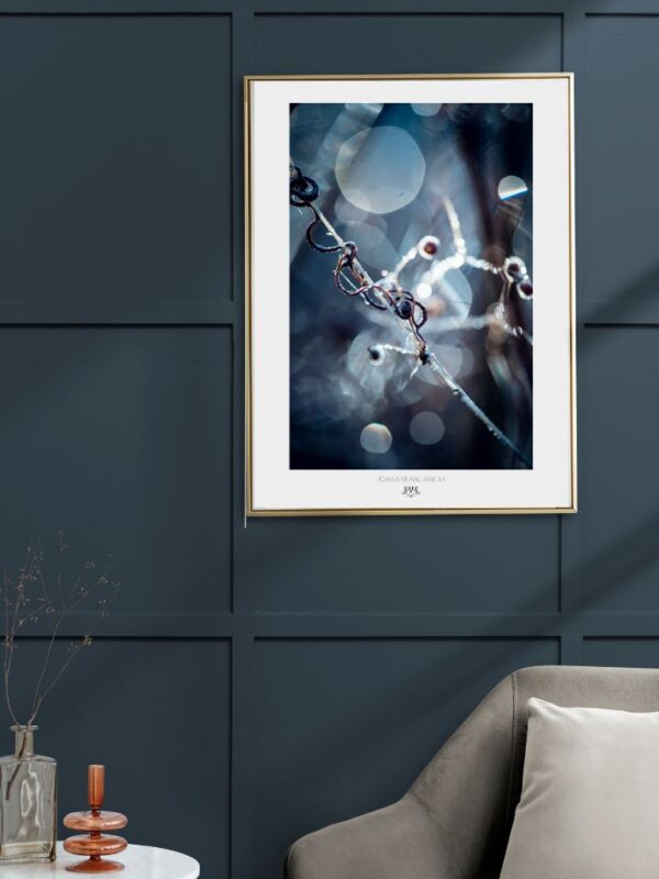 Plakat | Nadzieja i wolność