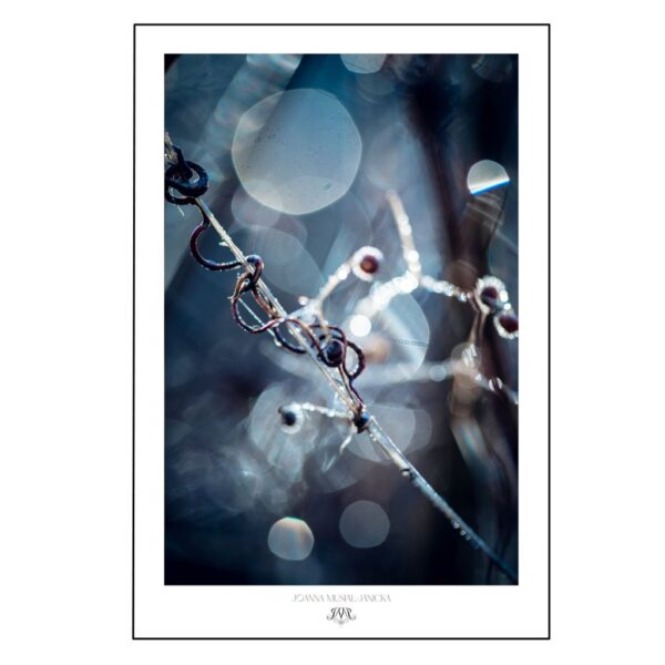Abstrakcyjny plakat fotograficzny autorstwa Joanny Musiał-Janickiej. Wysokiej jakości wydruk na papierze premium. Dostępny w standardowych rozmiarach. Wysyłka na cały świat