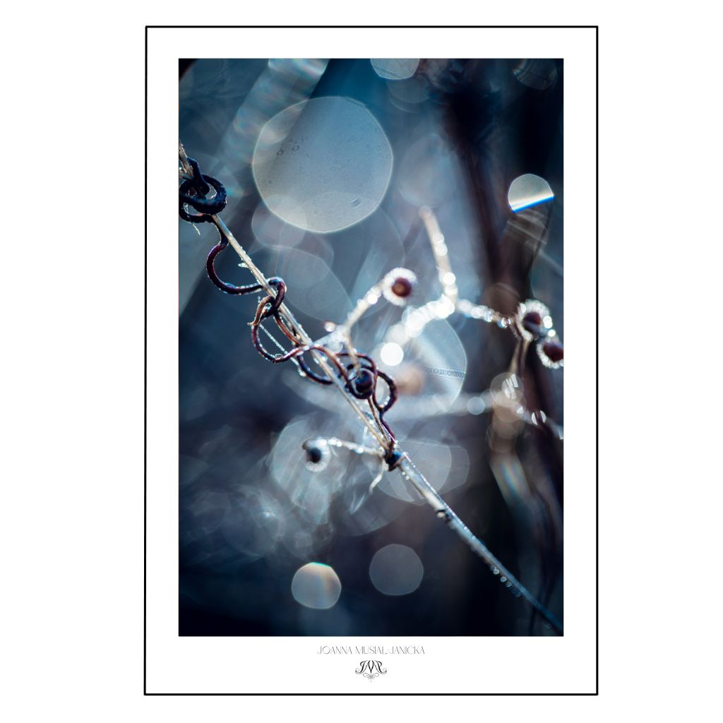 Abstract photographic poster by Joanna Musiał-Janicka. High-quality print on premium paper. Available in standard sizes. Worldwide shipping