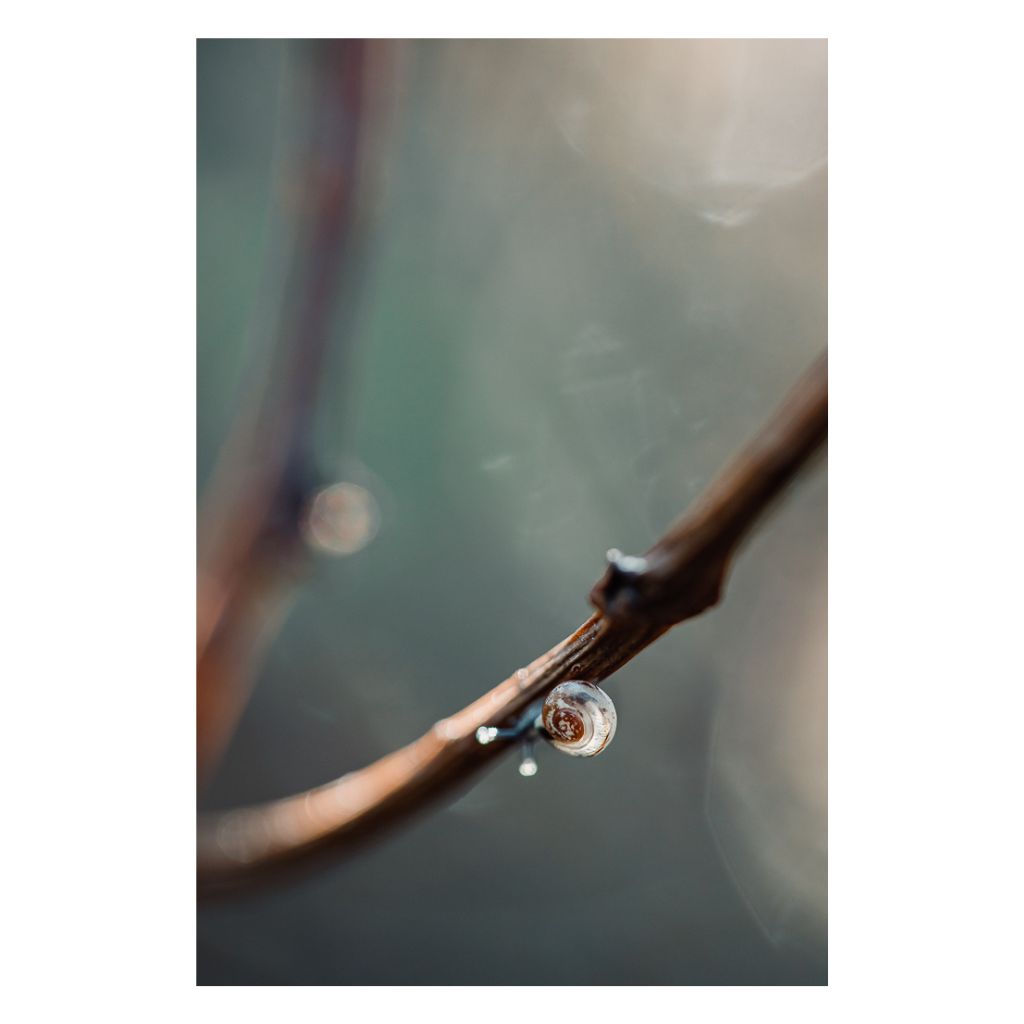 Modern Photography by Joanna Musiał-Janicka -TheLight of Slow Freedom