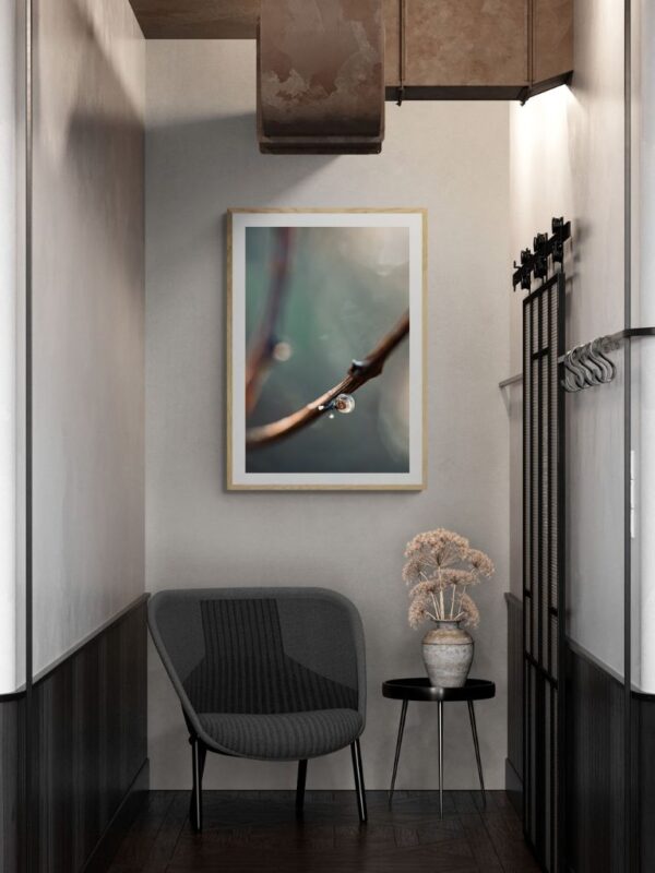 Współczesna fotografia artystyczna z kolekcji “TheLight” - wolno żyjący artysta uchwycił bezruch w naturze.