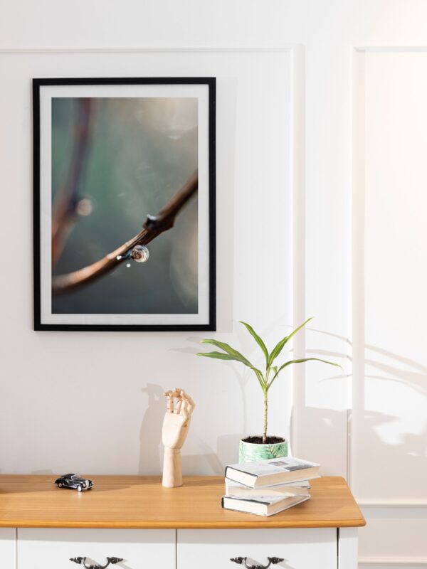 Współczesny wydruk na płótnie w smukłej ramie uchwycił celowy ruch ślimaka i jego spokojny rytm.