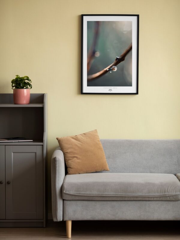 Plakat | TheLight of Slow Freedom