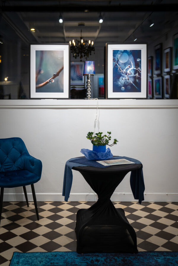 reportaż z wernisażu - międzynarodowa wystawa Freedom, Royal Blue VA Gallery Sztokholm