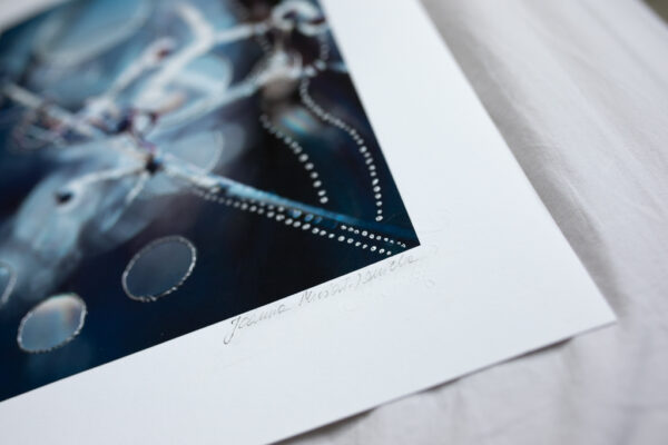 Embriodery Light, hope and freedom - Modern photography Joanna Musiał-Janicka Art-4 Embroidered Light | Hope & Freedom