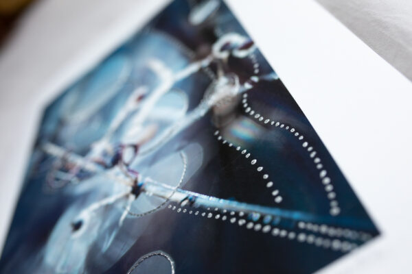 Embriodery Light, hope and freedom - Modern photography Joanna Musiał-Janicka Art-6 Embroidered Light | Hope & Freedom