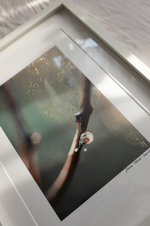 Abstrakcyjna fotografia przyrody z haftem, światłem i teksturą