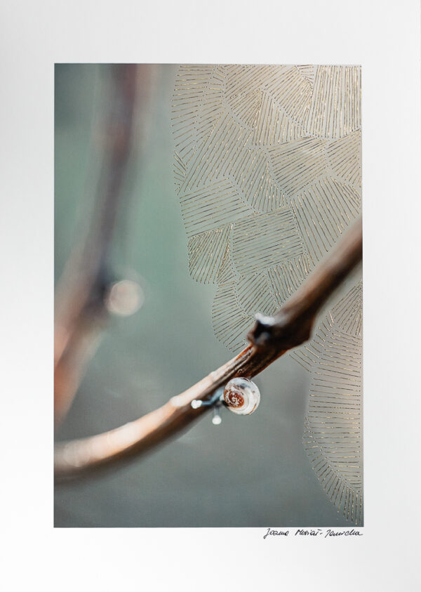 Kolekcjonerskie dzieło sztuki autorstwa Joanny Musiał-Janickiej, łączące fotografię i sztukę tekstylną z naciskiem na światło i obecność.