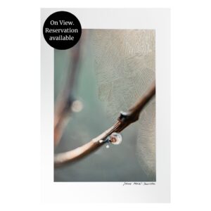 Współczesna sztuka technik mieszanych łącząca fotografię artystyczną i techniki tekstylne, kładąca nacisk na światło, fakturę i powolny proces artystyczny.