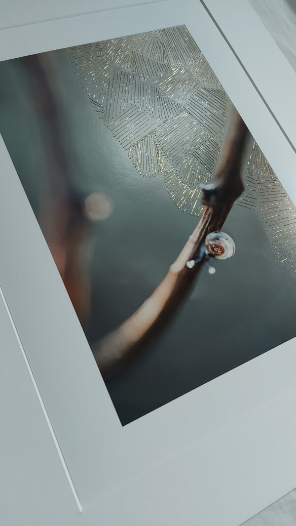 haftowane światło światło powolnej wolności haft ręczny fotografia artystyczna