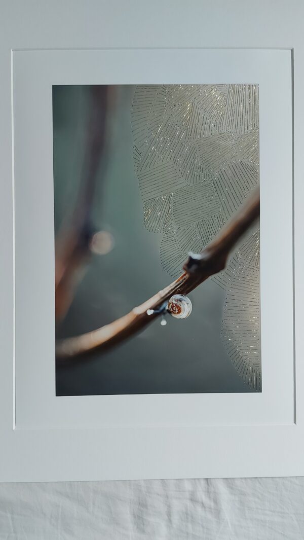 światło powolnej wolności minimalistyczna fotografia przyrodnicza z haftem