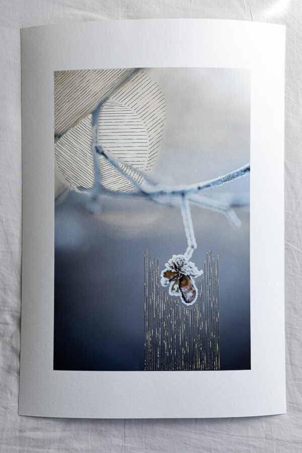 Haftowane Światło | Uważność na Trójkącie