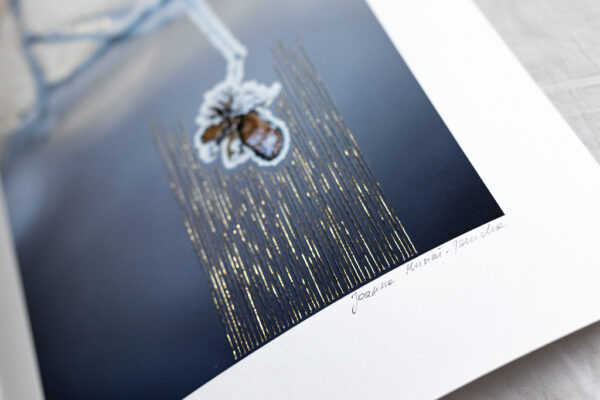 Haftowane Światło | Uważność na Trójkącie