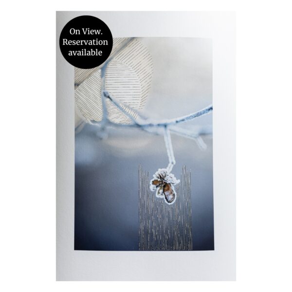 haftowane światło złota nić sztuka współczesna fotografia