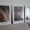 Inne Światy Projekt Wrocławskiej Loży Fotograficznej - Joanna Musiał-Janicka (4) — kopia Poster | TheLight of Discovery