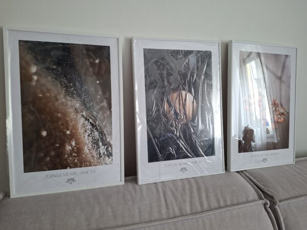Inne Światy Projekt Wrocławskiej Loży Fotograficznej - Joanna Musiał-Janicka (4) — kopia Poster | TheLight of Discovery