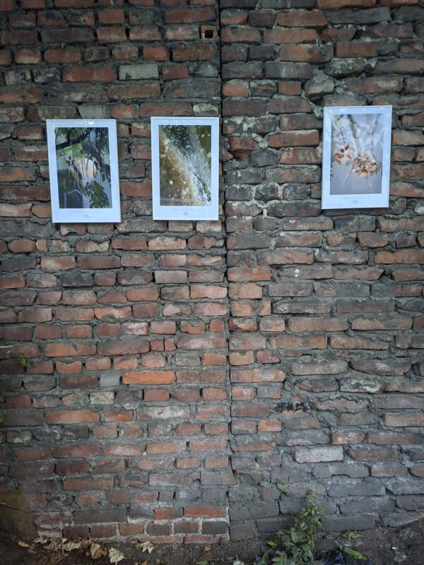 Inne Światy Projekt Wrocławskiej Loży Fotograficznej - Joanna Musiał-Janicka (9) — kopia Poster | TheLight of Discovery