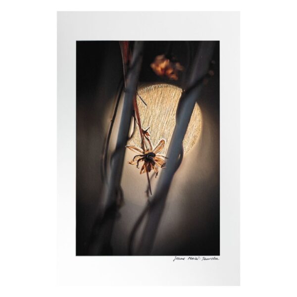 Embroidered Light | Yellow Circle of Hope, original nature photograph with hand embroidery