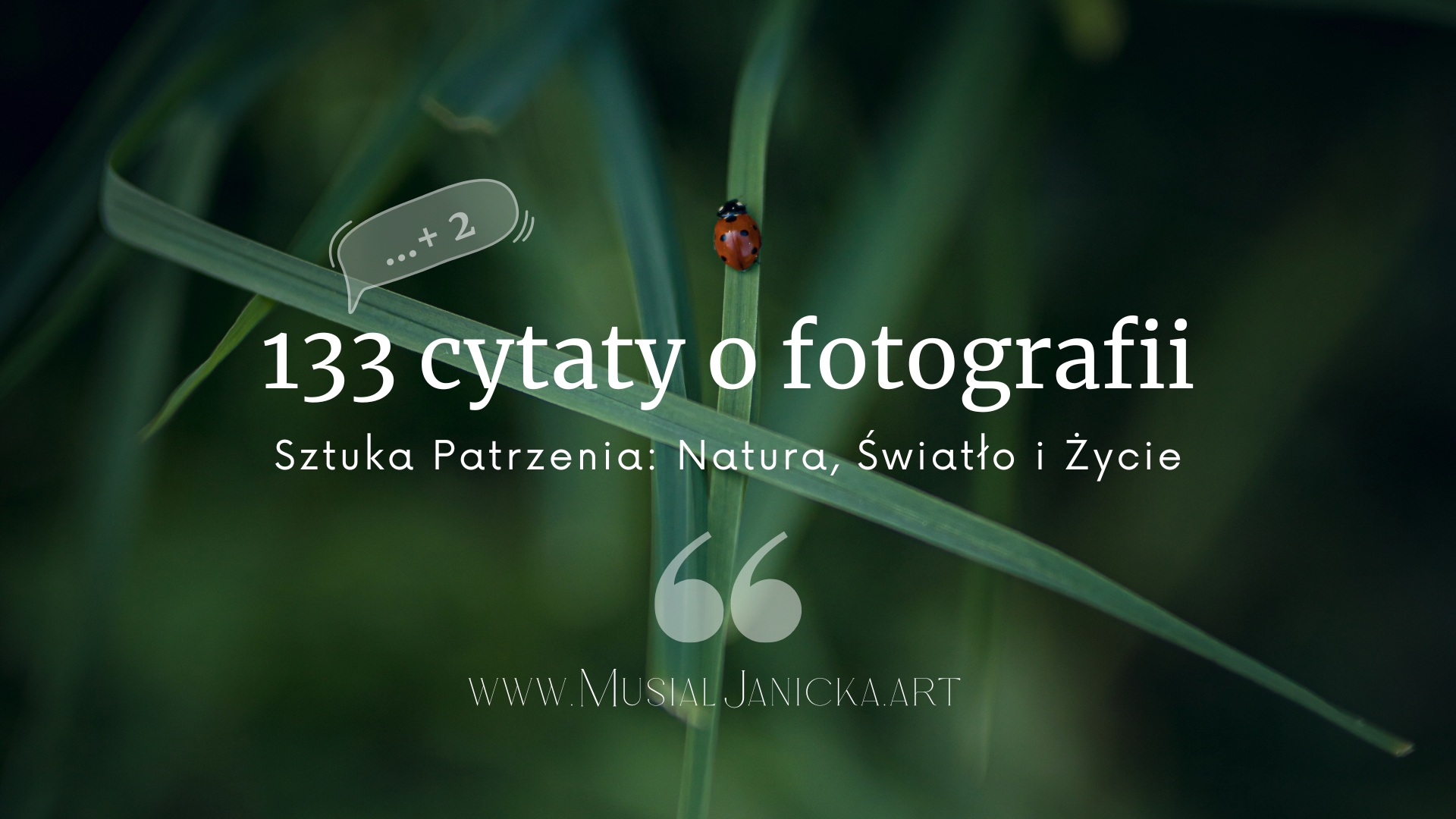 133 Fotografia cytaty Blog Banner