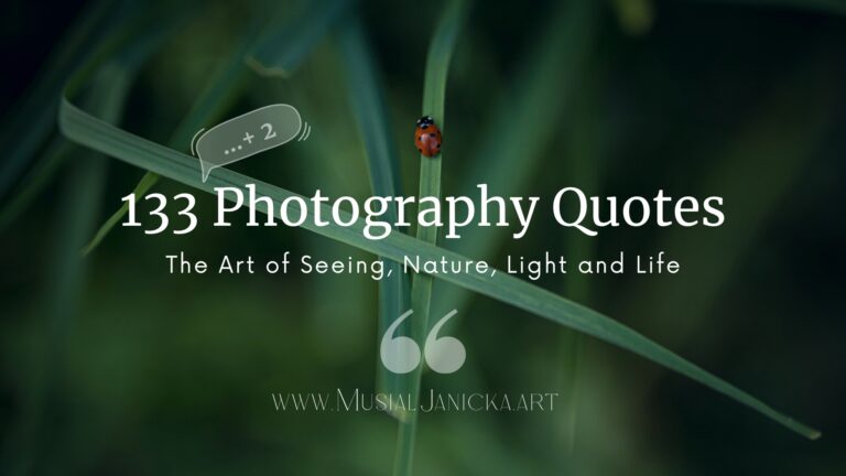 133 Photography Quotes Blog Banner