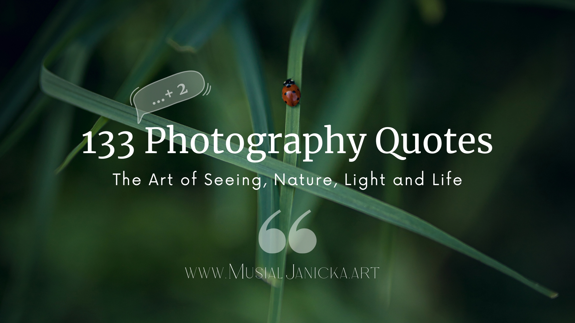 133 Photography Quotes Blog Banner