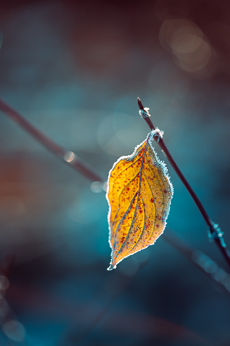 Mindful nature photography created as visual meditation