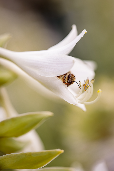 Contemporary nature photography with an artistic minimalist approach