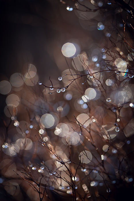 Abstract nature wall art inspired by natural textures