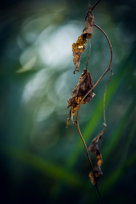 Minimalist fine art photography inspired by nature and light