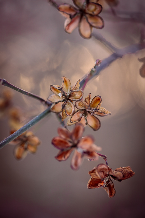 Mindful art photography encouraging slow looking and reflection