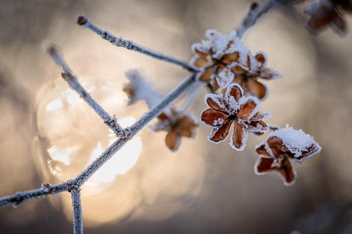 Light photography capturing an atmospheric moment in nature
