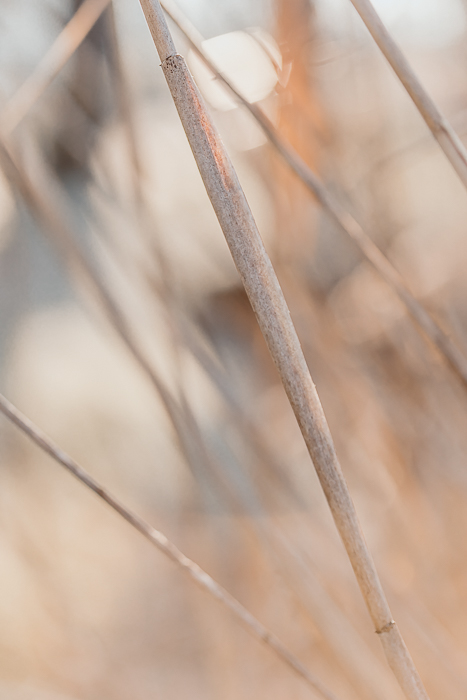 Nature photography inspired by visual meditation and inner reflection