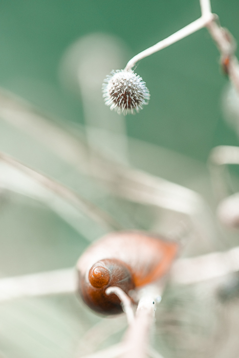 Mindful wall art inspired by nature and the practice of noticing