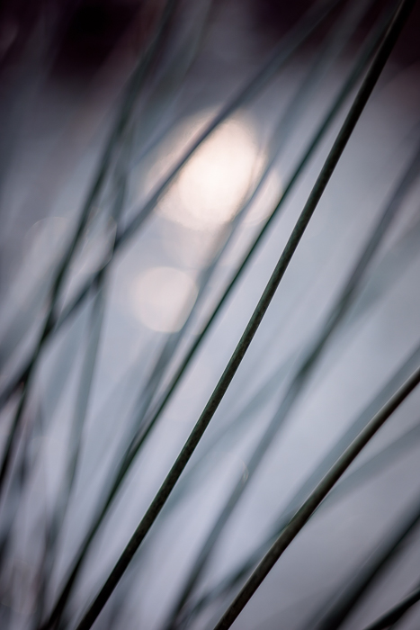 Abstract nature art inspired by quiet observation of the world