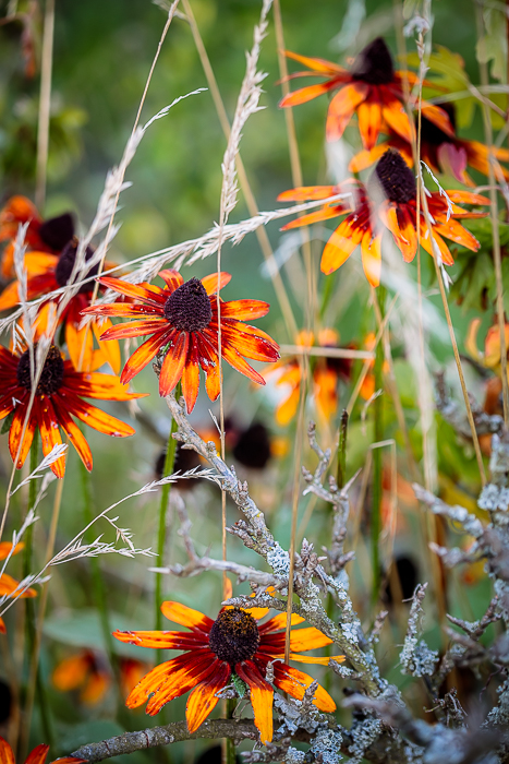 Fine art photography as a celebration of mindful seeing