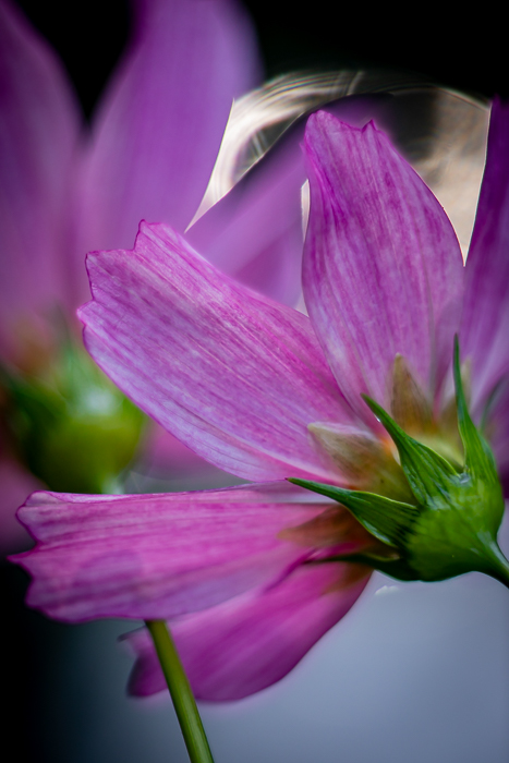 Light photography inspired by the changing atmosphere of nature