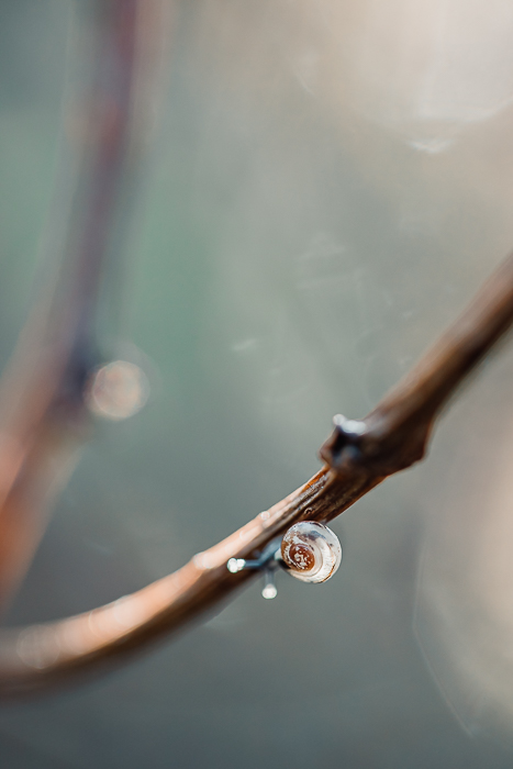 Visual meditation through abstract nature photography