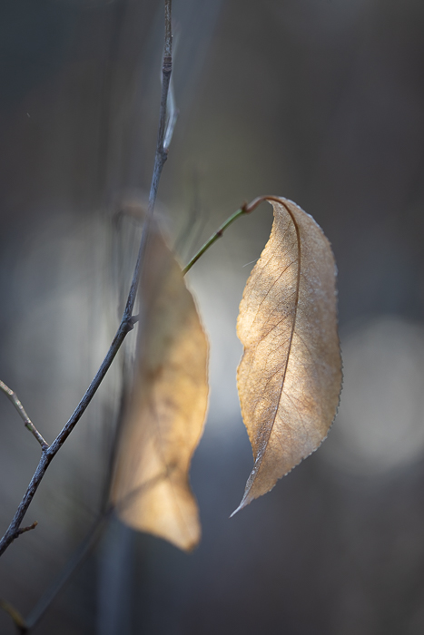 Mindful art photography inspired by the rhythm of nature